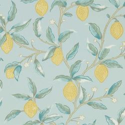 Color – Wedgewood
