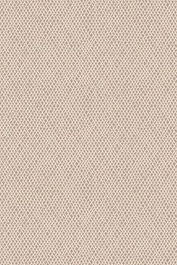 Color – Dead Salmon