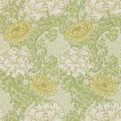 Color – Pale Olive
