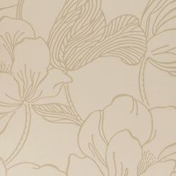 Color – White
