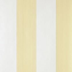 Color – Dayroom Yellow