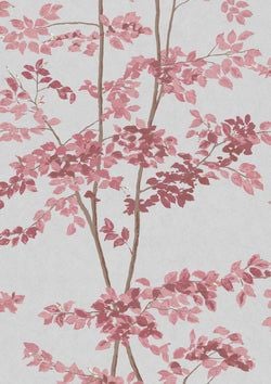 Color – Rose