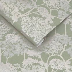 Color – Sage