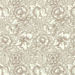 Color – Cream/Chocolate