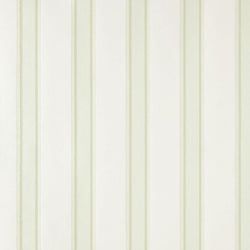 Color – Lime White