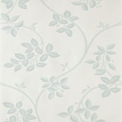 Color – Pale Powder