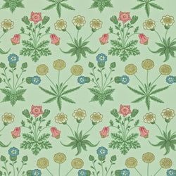 Pale Green/Rose