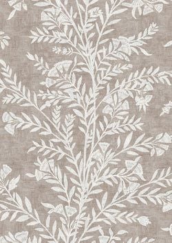 Color – Plaster