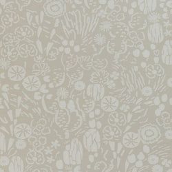 Color – Purbeck Stone