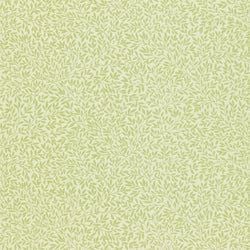 Fennel