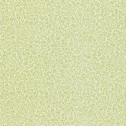Color – Fennel