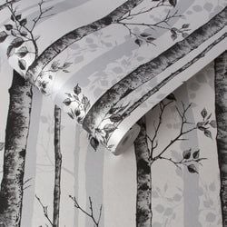 Color – Black & White