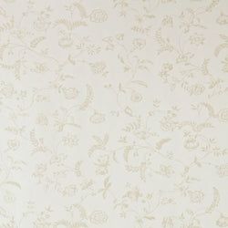 Color – Cream