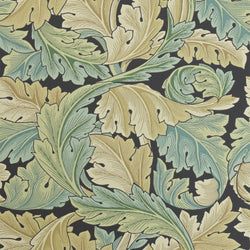 Color – Privet
