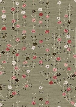 Tea Rose