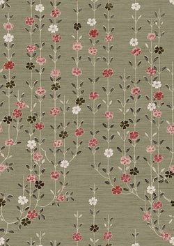 Color – Tea Rose