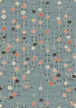 Color – Coral Sea