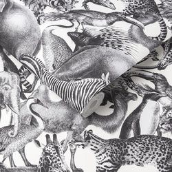 Color – Zebra