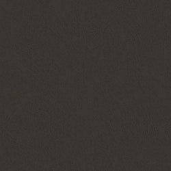 Color – Charcoal