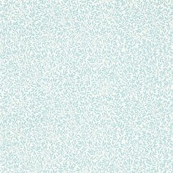 Color – Seaglass