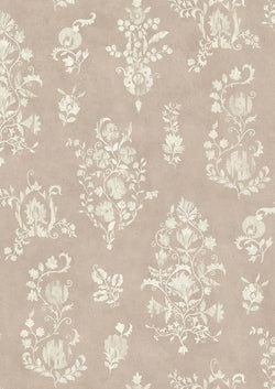 Color – Plaster