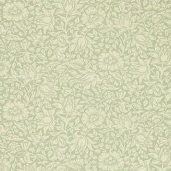 Color – Apple Green