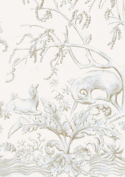 Eucalyptus