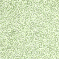 Color – Leaf Green
