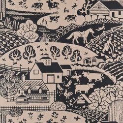 Color – Setting Plaster