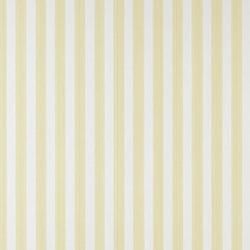 Color – Dayroom Yellow