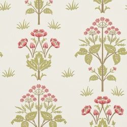 Rose/Olive