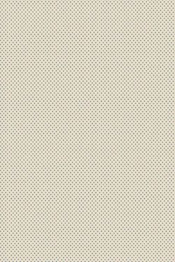 Color – Lime White