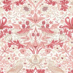 Color – Madder