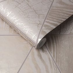 Color – Ash
