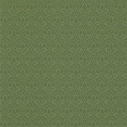 Color – Forest