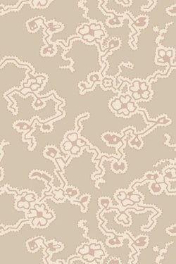 Color – Setting Plaster