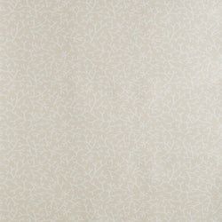Color – White