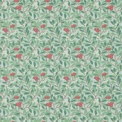 Thyme/Coral