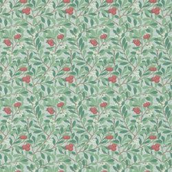 Color – Thyme/Coral