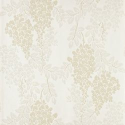 Color – White