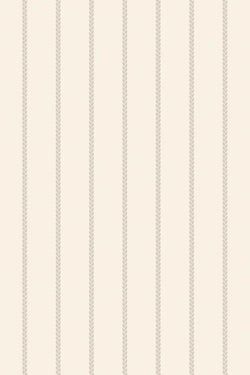Color – Cream
