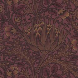 Color – Wine