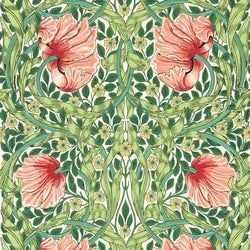Color – Shamrock/Watermelon