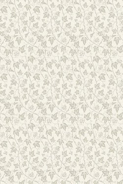 Color – Wimborne White