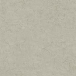 Color – Concrete