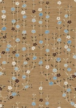 Color – Blue Ginger