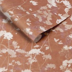 Color – Clay