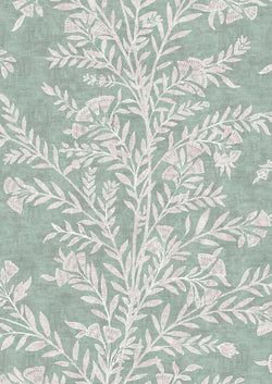 Eucalyptus