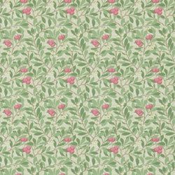 Olive/Pink