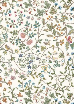 Color – White